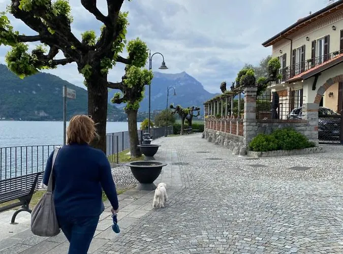 דירה A Dream On The ליירנה