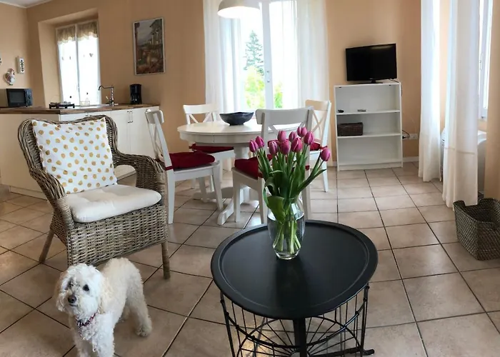 דירה A Dream On The *