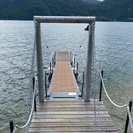 A Dream On The Apartman